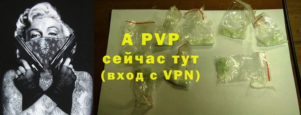 apvp Алзамай