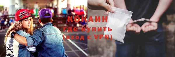соль ск Абаза